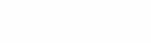Logo SPY4D